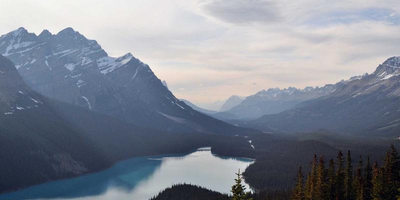 如何通过济南华光机电的定制化泵阀与自动化解决方案优化化工流程