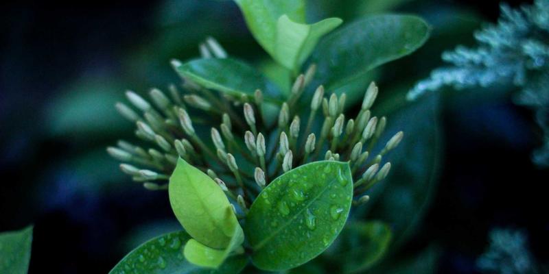 技术驱动洁净未来：济南华光机电引领制药行业高洁净度流体输送新突破