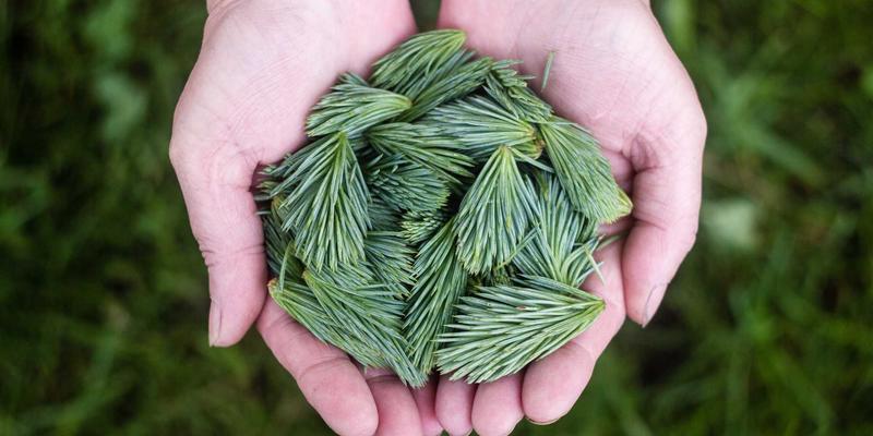 智慧楼宇高效节能新引擎：基于济南华光机电产品的BAS水系统集成方案