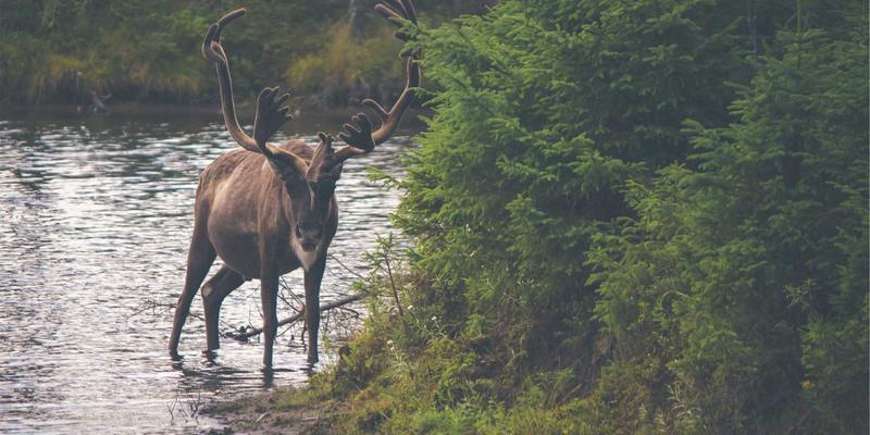 泵阀与传动系统：解析济南华光机电在现代农业灌溉中的核心角色