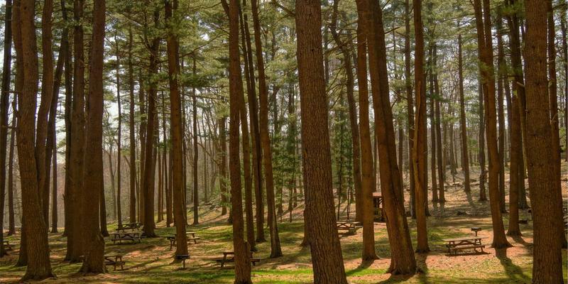 济南华光机电15：以自动化设备创新驱动产业升级的机电产品领航者