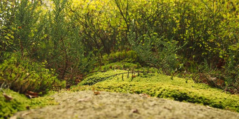 济南华光机电43：深耕工业设备领域，以卓越电机技术驱动产业升级