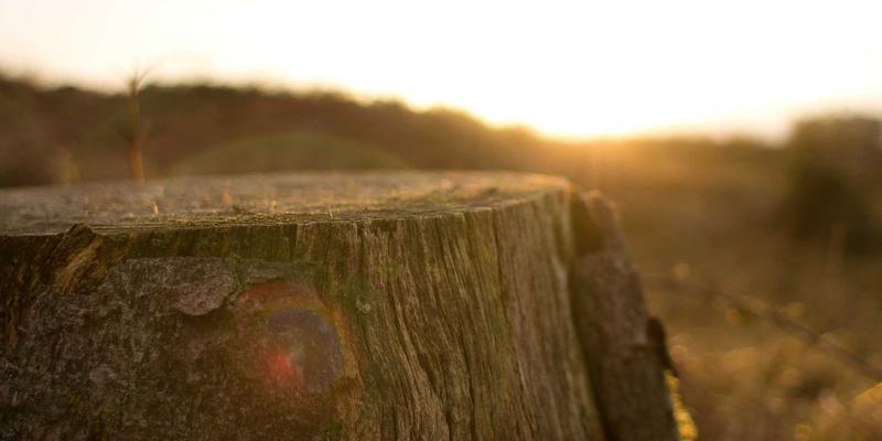 济南华光机电：以创新实践引领机电产品、泵阀与自动化设备融合发展