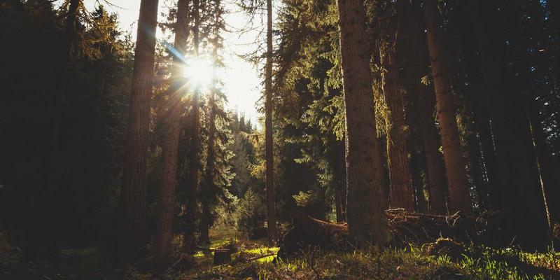 济南华光机电:以创新驱动自动化设备与电机技术融合,赋能产业升级