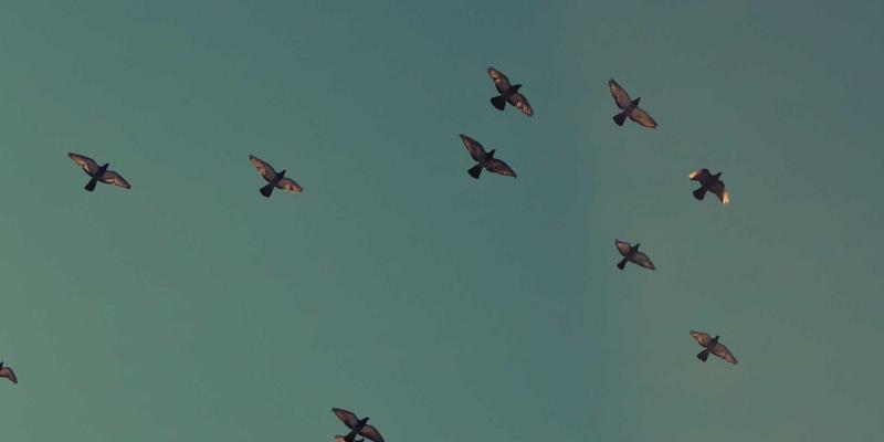 济南华光机电：以卓越电机技术赋能城市地下管廊排水系统建设