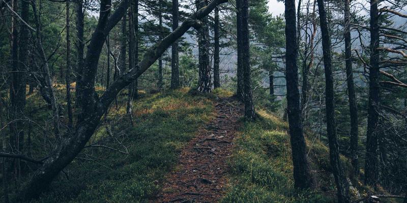 济南华光机电防爆电机：石油化工泵阀与工业设备的安全守护者